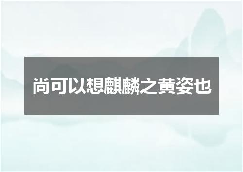 尚可以想麒麟之黄姿也