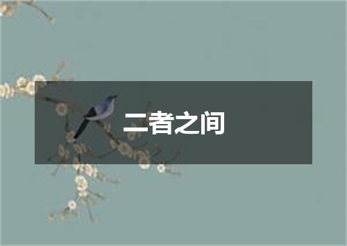 二者之间