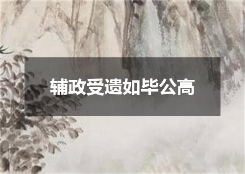 辅政受遗如毕公高