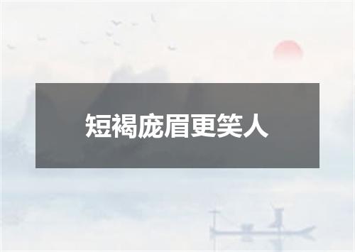 短褐庞眉更笑人