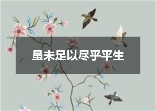 虽未足以尽乎平生
