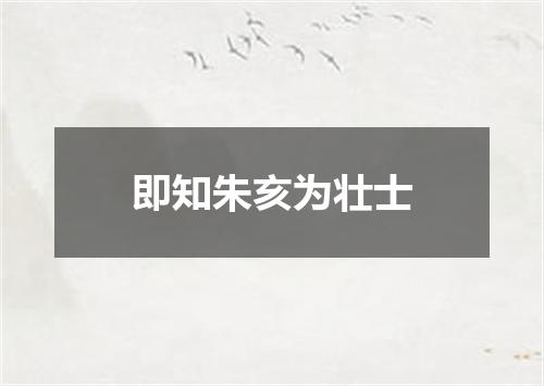即知朱亥为壮士