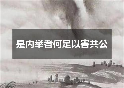 是内举者何足以害共公