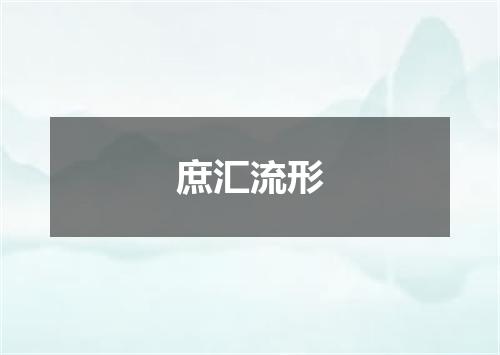 庶汇流形