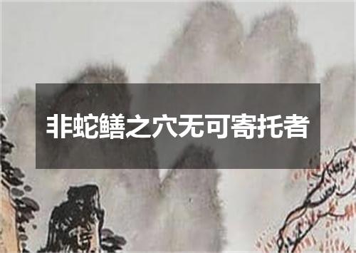 非蛇鳝之穴无可寄托者