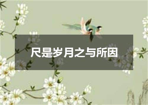 尺是岁月之与所因