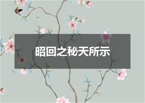 昭回之秘天所示