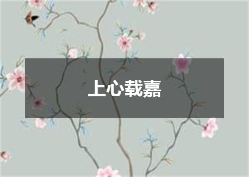 上心载嘉