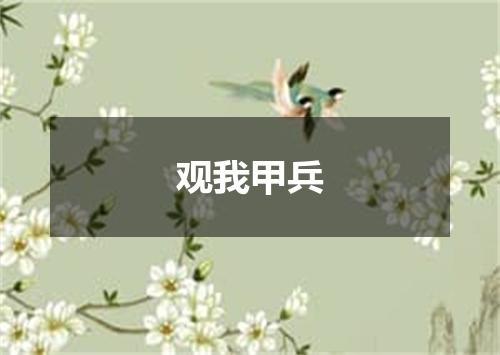 观我甲兵
