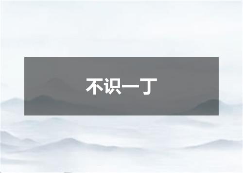 不识一丁