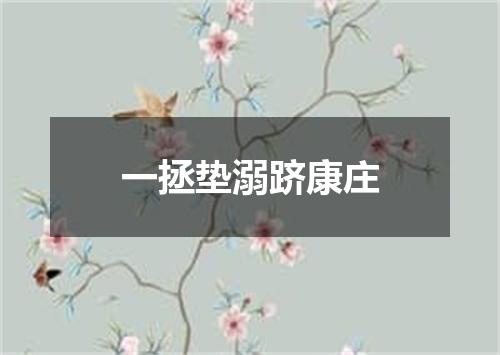 一拯垫溺跻康庄