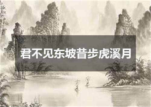 君不见东坡昔步虎溪月