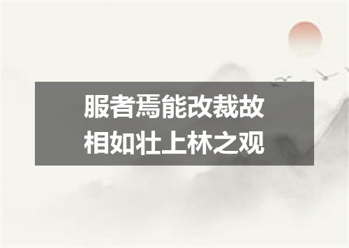 服者焉能改裁故相如壮上林之观