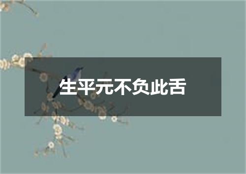生平元不负此舌