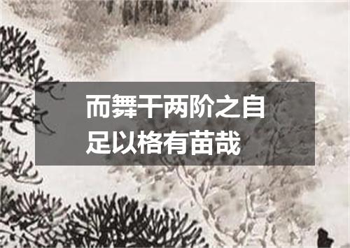 而舞干两阶之自足以格有苗哉