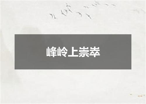 峰岭上崇崒