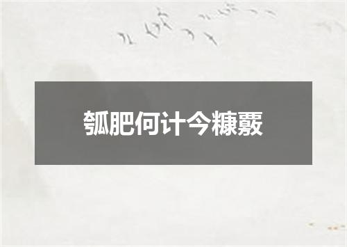 瓠肥何计今糠覈