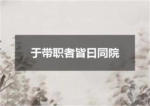 于带职者皆曰同院