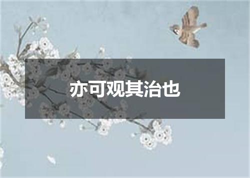 亦可观其治也