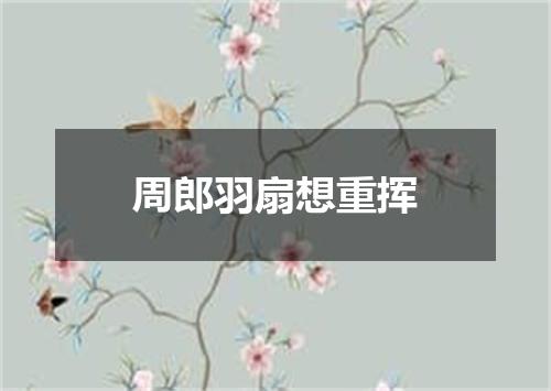 周郎羽扇想重挥