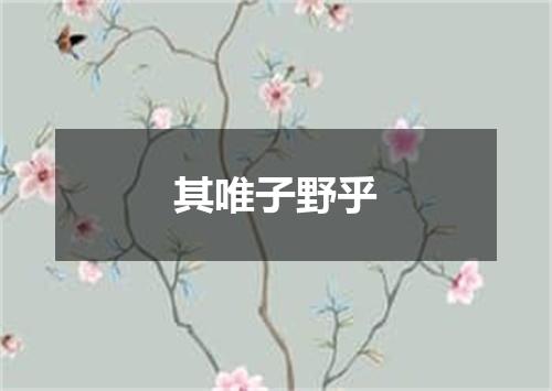 其唯子野乎