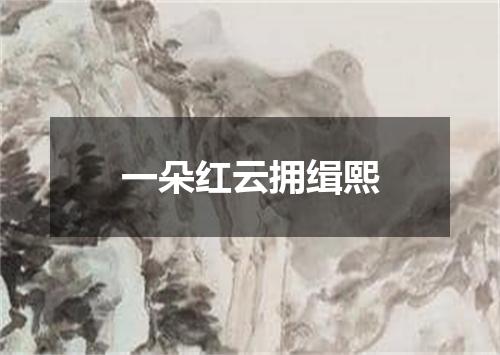 一朵红云拥缉熙