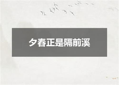 夕舂正是隔前溪