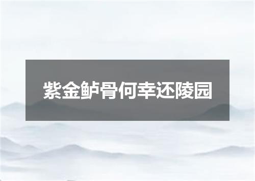 紫金鲈骨何幸还陵园
