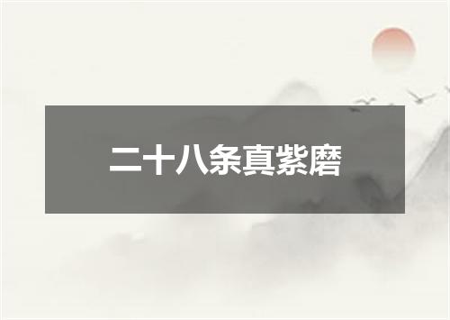 二十八条真紫磨