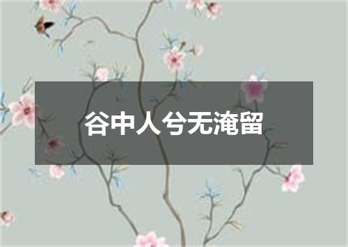 谷中人兮无淹留