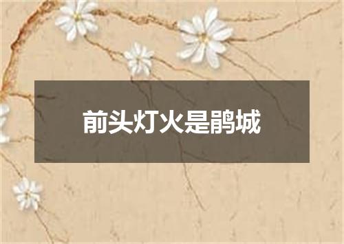 前头灯火是鹃城