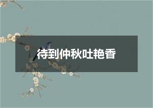 待到仲秋吐艳香