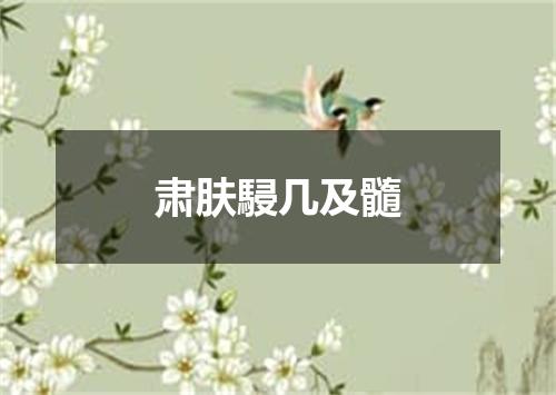 肃肤駸几及髓