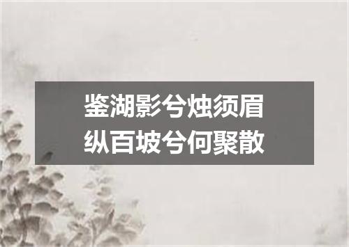 鉴湖影兮烛须眉纵百坡兮何聚散