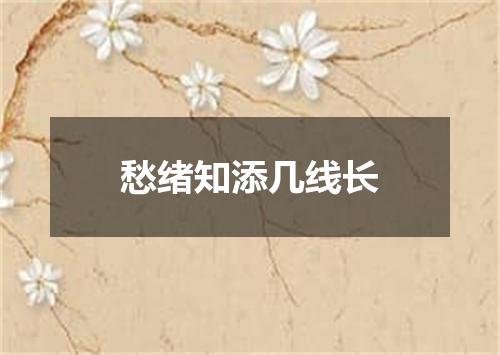 愁绪知添几线长