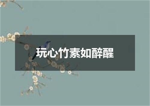 玩心竹素如醉醒