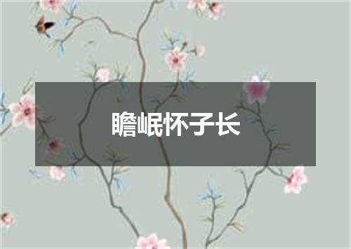 瞻岷怀子长