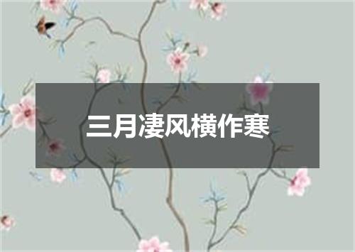 三月凄风横作寒