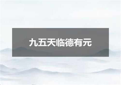 九五天临德有元