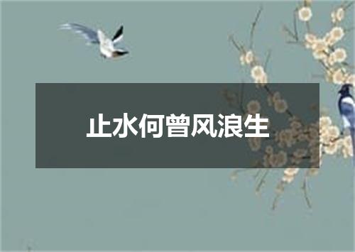 止水何曾风浪生