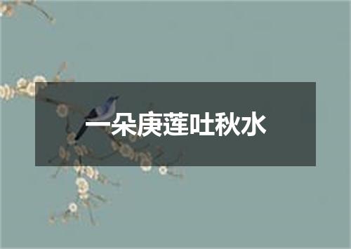 一朵庚莲吐秋水