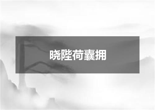 晓陛荷囊拥