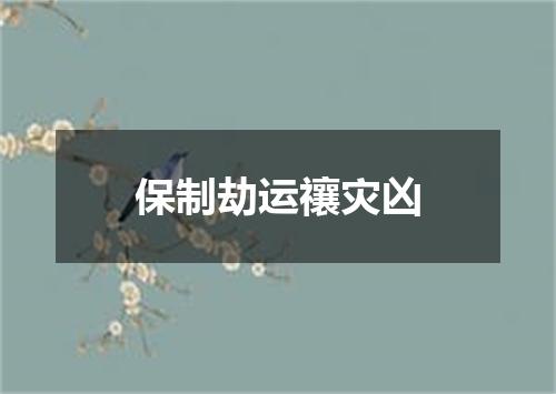 保制劫运禳灾凶