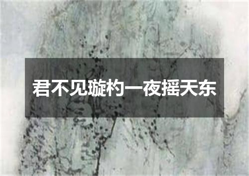 君不见璇杓一夜摇天东