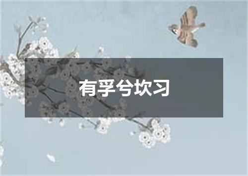 有孚兮坎习