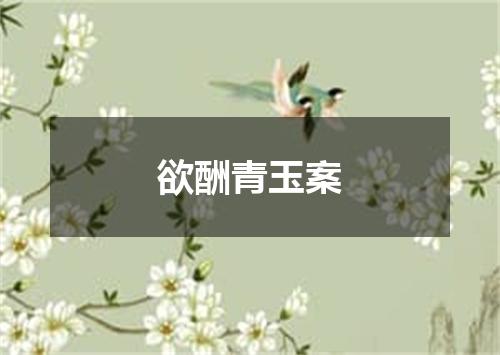 欲酬青玉案