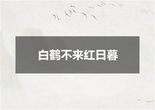 白鹤不来红日暮