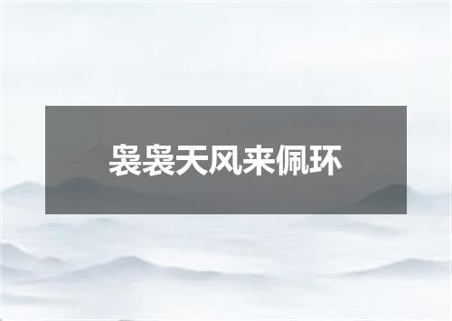 袅袅天风来佩环
