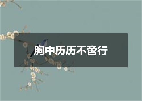 胸中历历不啻行