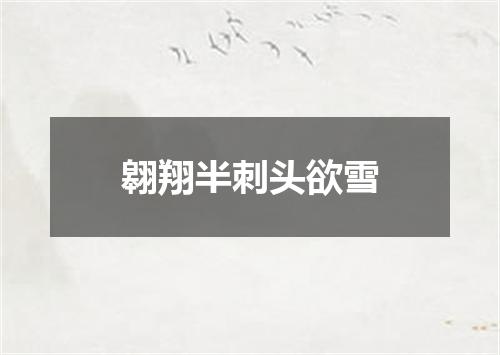 翱翔半刺头欲雪